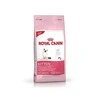 Royal Canin Kitten 10kg
