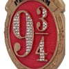 Nemesis Now Harry Potter Platform 9 3/4 hanging ornament