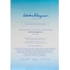 Salvatore Ferragamo Incanto Mėlyna EDT tualetinis vanduo vyrams, 100 ml