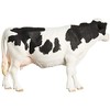 Schleich figūrėlė Holšteino veislės karvė