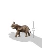 Schleich figūrėlė Afrikinio dramblio patinas
