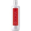 Aktyvatorius Schwarzkopf Professional Igora Royal Oil Developer 12% 1000 ml