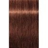 plaukų dažai Schwarzkopf Igora Royal TakeOver Nº 7-764 Medium rusvai gelsvas Copper Brown rusvai gelsvas 60ml