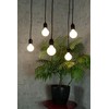 Segula LED Globe 80 opal E27 3,2W 330Lm 2700K dimmbar