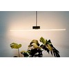 Segula SEGULA LED Linienlampe S14d 500mm skaidrus S14d 6,2W 2700K dimm