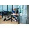 Elektrinis paspirtukas Segway Ninebot KickScooter F65I, Juodas
