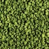 Sera Granugreen 250ml pašaras ciklidams granuliuotas
