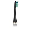 SEYSSO Gold Juodas Anti-Plaque 2vnt..