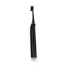 Dantų šepetėlis Seysso Carbon Basic SE005BLK Juoda