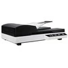 Skeneris Avision AD120 scanner Flatbed &amp; ADF scanner A4 Juodas