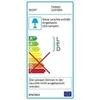 Laiptinė SKOFF Tango LED inox (ML- TAN- K- 1- PL- 00- 01)