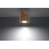 Lubinis šviestuvas Sollux Lighting „Sollux“ lubos ORBIS