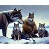 „Viga Polarb“ medinė mokomoji piramidė - pingvinas