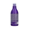 Stapiz Ha Essence Aquatic Revitalising Šampūnas Šampūnas