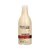 Šampūnas pažeistiems plaukams Stapiz Sleek Line Repair 300ml