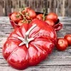 ZWILLING Pomidorų 2,5 L Apvalus troškinimo indas