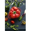 Staub ZWILLING MINI COCOTTE PEPPER 470 ml Apvalus troškinimo indas
