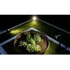 Steinel LED lemputės 7W Spot Garden Nightautomatic anthracitas (ST058692) -