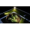 STEINEL LED ŠVIESTAS 7W STEINEL SPOT GARDEN BE SENSORIAUS ANTRACITO