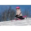 Rogutės Stiga SNOWRACER® Curve Gray Rožinė