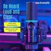 Streamplify RGB Tripod kondensatorinis mikrofonas