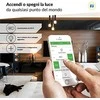 Zamel Supla ROW-01 1x230V WiFi valdiklis