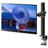 iiyama DS1001C-B1 monitoriaus laikiklis arba stovas 76,2 cm (30") Gnybtas Juoda