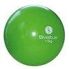 Sveltus Svorinis kamuolys WEIGHTED BALL 1,5kg