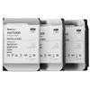 „Synology“ | Įmonės lygio standusis diskas | (HAT5300-12T) | 7200 aps./min. | 12000 GB | standusis diskas