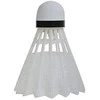 Badmintono plunksniukai Talbot Torro Magic Night, Led, 479123