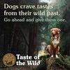 Taste of the Wild Dog High Prairie 12,2kg
