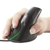 TECHLY USB Ergonomic Vertikali pelė 1000dpi Juodas