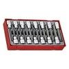 TengTools Galvučių su antgaliais komplektas Teng Tools TTTXH15; 15 vnt.