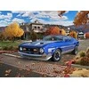 Revell – ‘71 Mustang Boss 351, 1/25, 07699