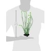 Tetra Deco Menas 33 cm dirbtinis akvariumo augalas