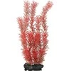 Tetra Deco Menas Raudona