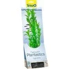 Tetra DecoArt augalas L Hygrophila