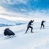 Thule Chariot – slidinėjimo rinkinys | pilkos spalvos
