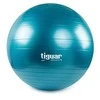 Gimnastikos kamuolys TIGUAR Safety Plus, 75cm