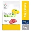 Trainer Natural Adult Mini sausas maistas su jautiena ir ryžiais šunims 7kg