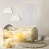 Infraraudonųjų spindulių Šildytuvas - lankstus šildymo skydelis 430W TRIO, raštas 14, skaidrus, išmatavimai 100x57cm su reguliatoriumi
