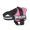 Trixie diržai Julius-K9, 2/L-XL: 71-96 cm, fuksijos spalvos
