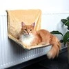Trixie Katės koja - rusva