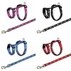 Trixie Petnešos su pavadėliu triušiams, 25–44cm/10mm, 1.25m