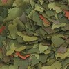 Tropical Malawi Flakes 5l
