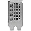 Pny Technologies PNY NVIDIA RTX 2000 Ada Generation 16 GB GDDR6