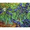 luca S Irisai, Van Gogho reprodukcija SG444