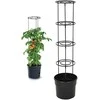 Home Styling Collection Vazonas vijokliniams augalams su kopėčiomis, aukštis 115 cm.