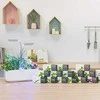 Veritable Véritable Lingot Žlutá mini paprika - BIO