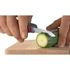 Peilis Victorinox Recruit